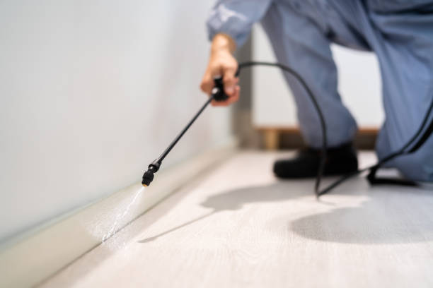 Licensed Pest Control service in Charleston, IL - Show Me Pest Control