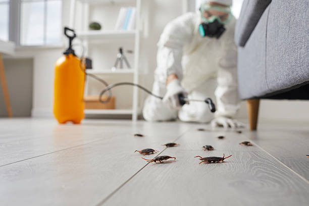 Commercial Kitchen Cockroach Control in Charleston